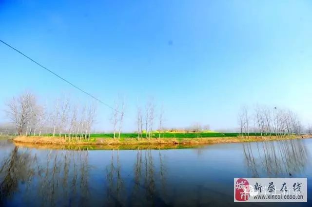 【知新蔡】新蔡孙召:绿波荡漾 福源之地