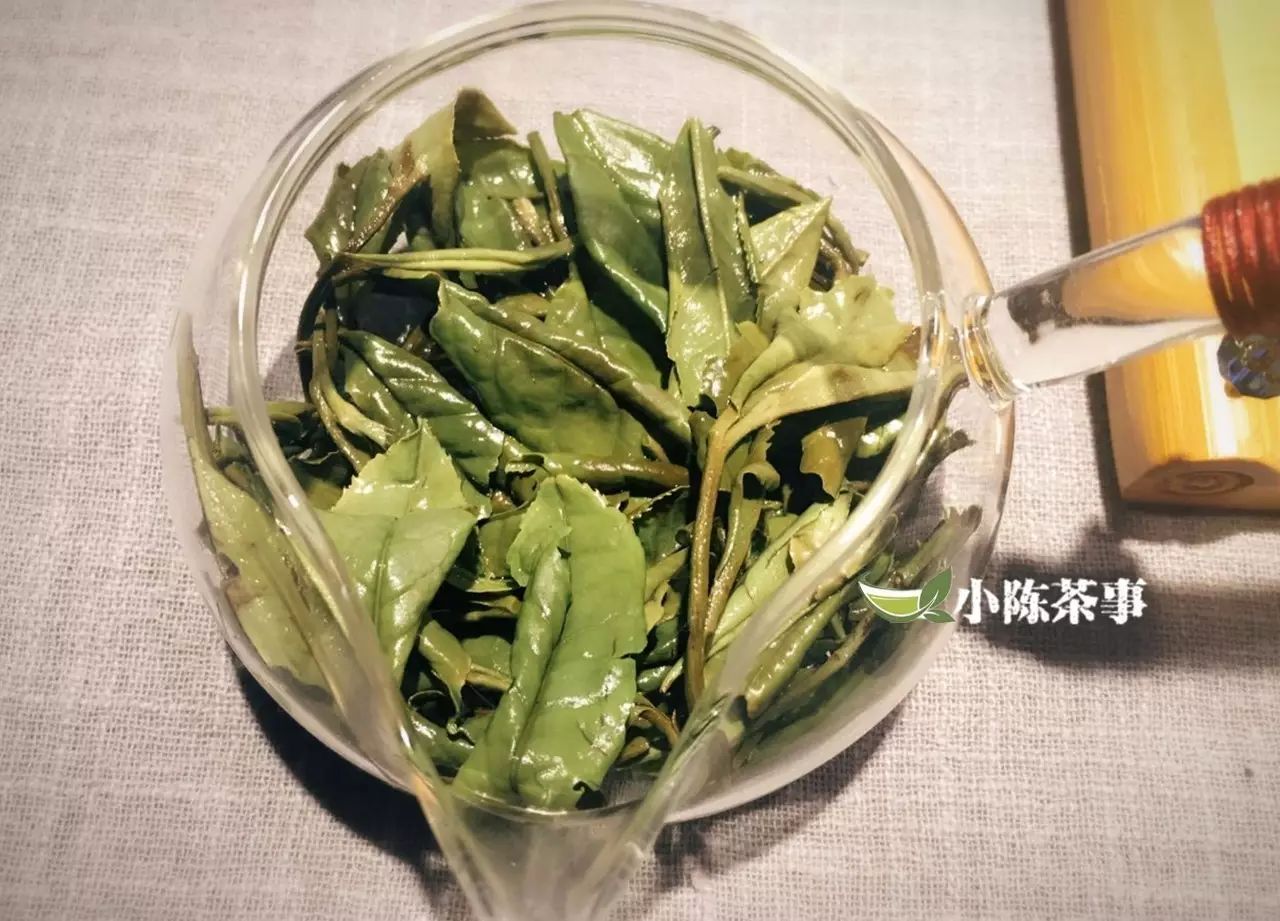 福鼎白茶 | 明前茶和雨前茶的功效作用有哪些差别?