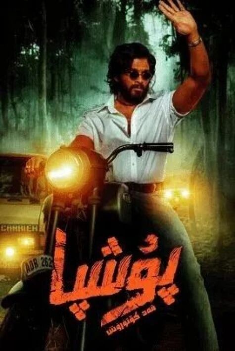 پۇشپا قەد كۈتۈرۈش