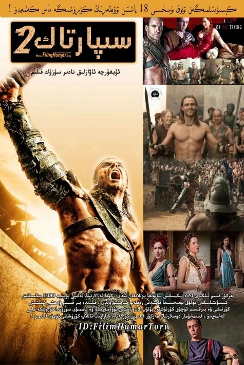 سىپارتاك 2-بۆلۈم