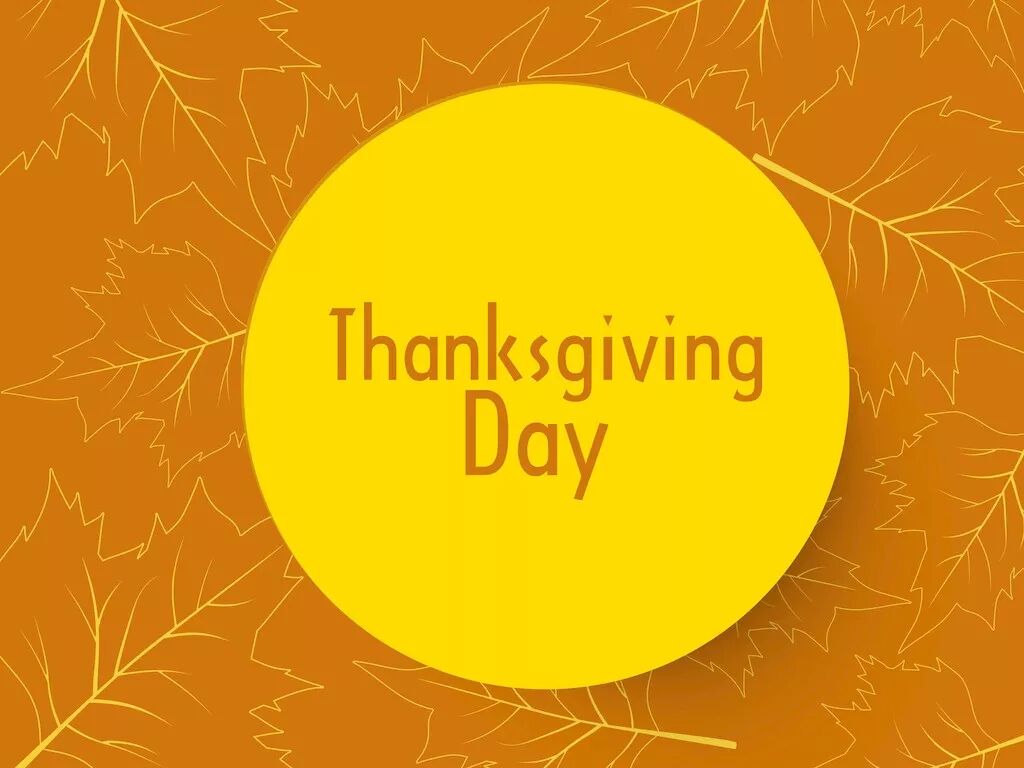 感恩节---传不为您科普感恩节知识  -传不