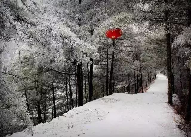 天公不作美,你是不是忘了眼么巴巴盼下雪的大兰州啦?