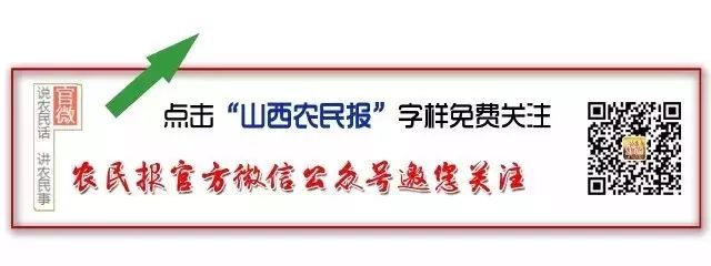 【新聞資訊】用手機APP「刷臉」就行！我省養老保險待遇資格認證啟用新模式 科技 第1張