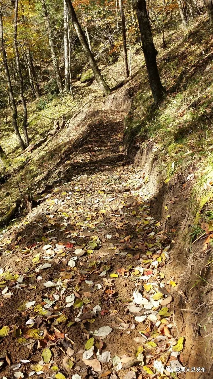 【征文荐读】秋染摩天岭,人醉石磨河 ——探寻阴平古道