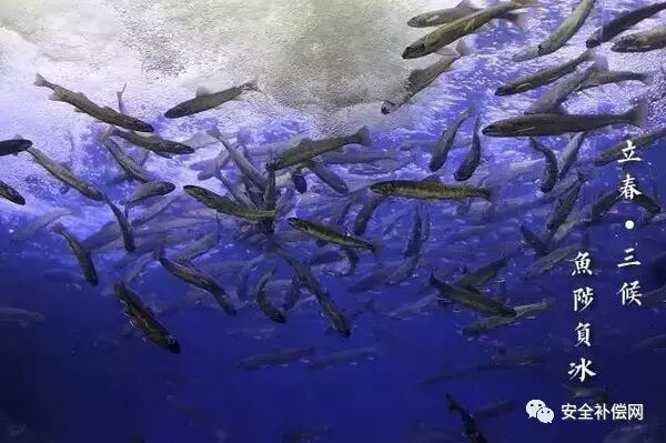 未来之路|QRR3.0G/S|DUN8850Y|DUN弧光保护|热气溶胶灭火|全氟己酮灭火