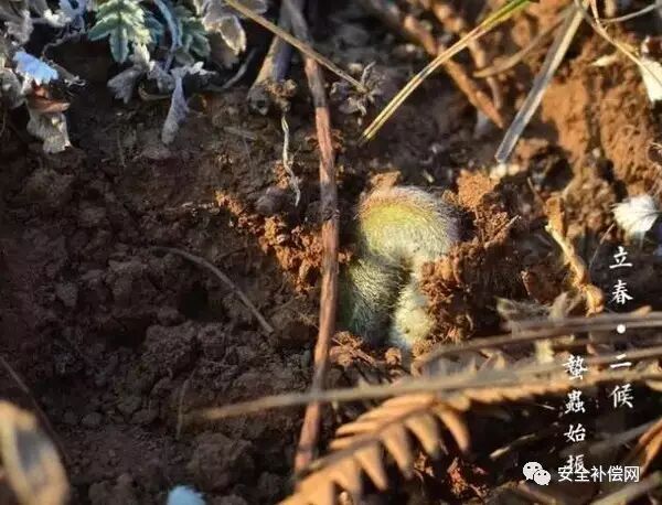 未来之路|QRR3.0G/S|DUN8850Y|DUN弧光保护|热气溶胶灭火|全氟己酮灭火