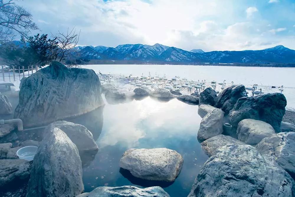 天鹅池边的北海道川汤温泉