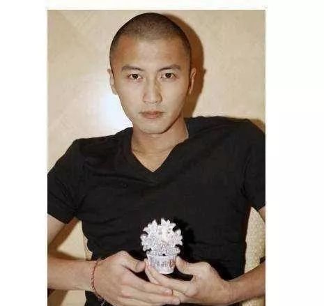 霍建华,谢霆锋,郑恺等最能撑起光头造型,网友:李晨最!