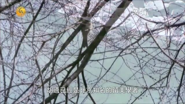 纪录片《民国先生》全10集-4