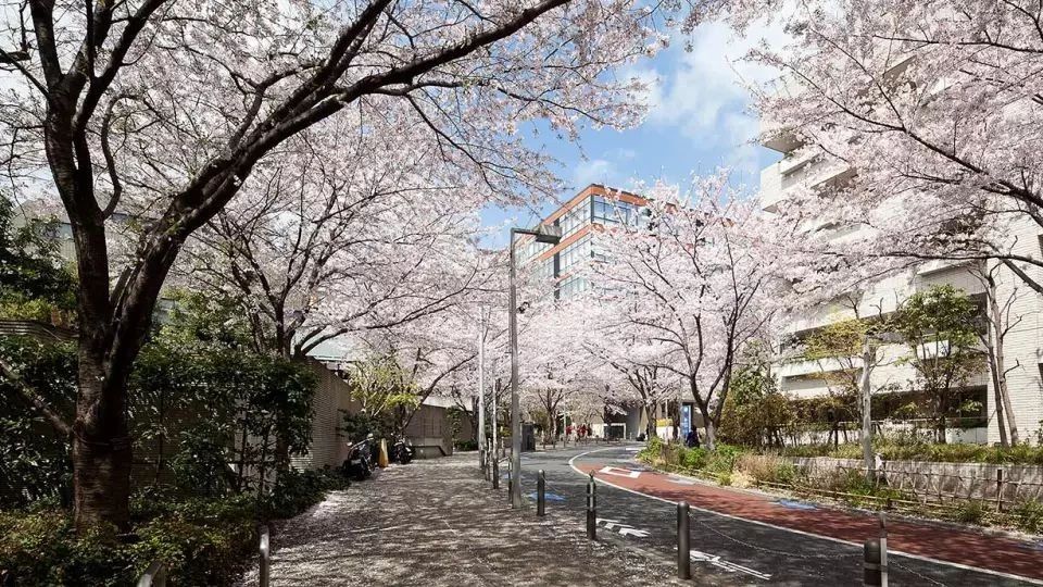 从红灯区到富人区,日本最大旧城改造项目火了这个“空中美术馆” | 城市更新