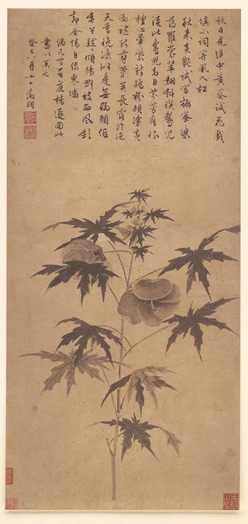 (台北故宫博物院藏 文征明花鸟画的成就其实并不逊于其山水画