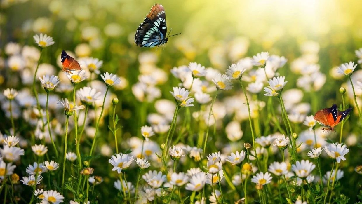 收录于合集⭐小寒时节，最美的祝福送给您！