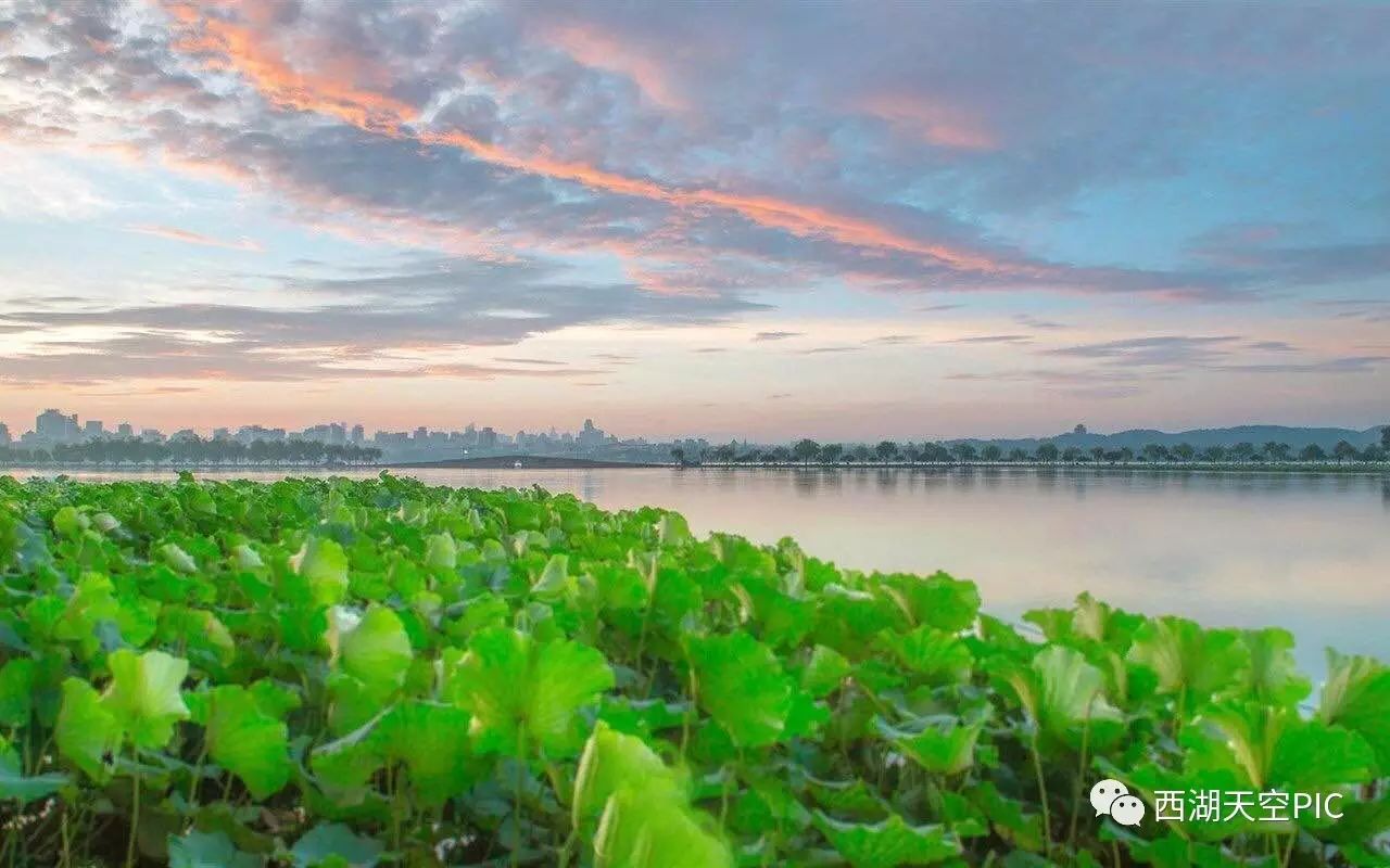 颖州西湖简介_杭州西湖简介_杭州市西湖区政府 简介