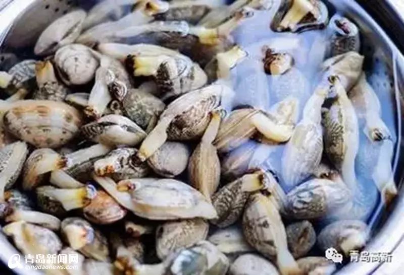 去红岛你就知道吃蛤蜊?错了,最全海鲜攻略出炉!(海边娃力荐)