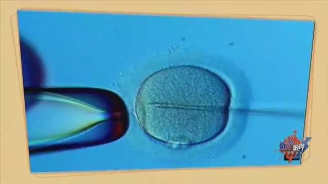 移民生美國孩子怎么辦_移民美國孩子年齡的控制_在美國生孩子移民