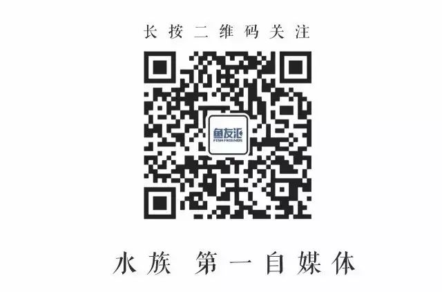 以木头为食的水怪｜ 异型连载
