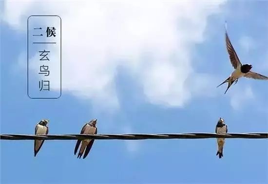 今日白露：秋意渐浓，秋色正美，一年最有诗意时