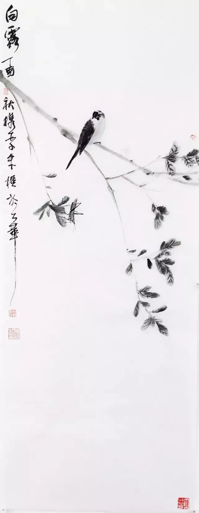 今日白露：秋意渐浓，秋色正美，一年最有诗意时