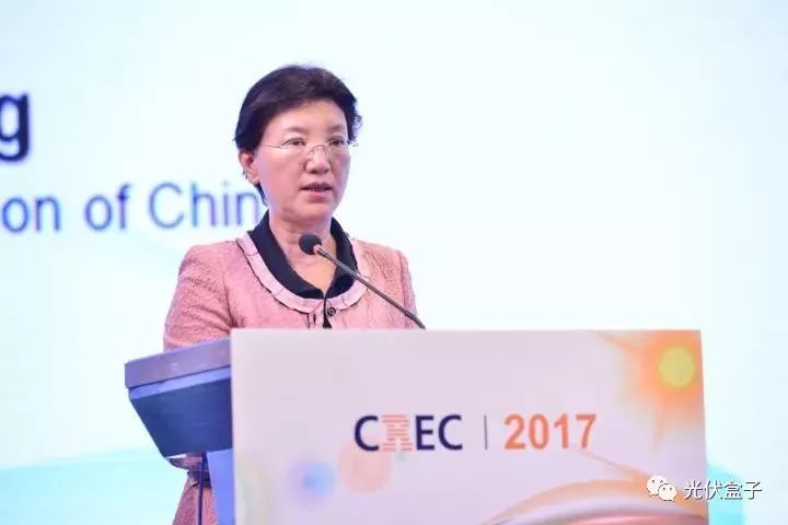 国家电网总经理助理张丽英精彩演讲