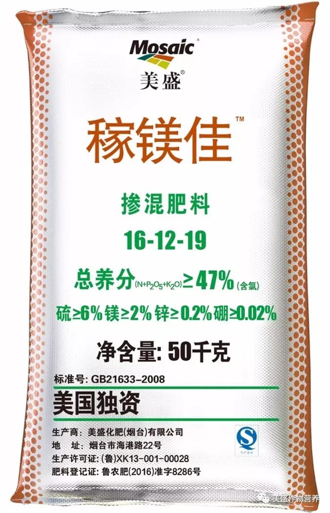 刘大爷说:用好几年美盛化肥了,种什么效果都不错.