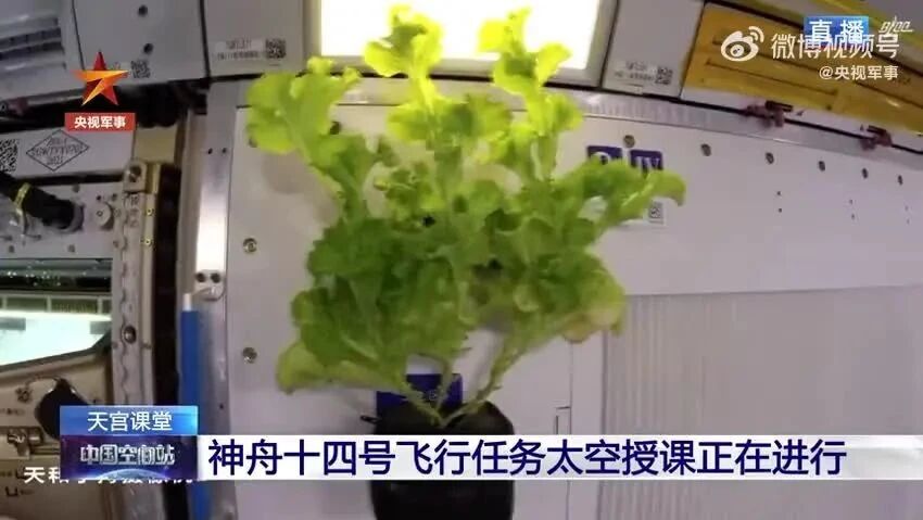 热点关注 | “天宫课堂”第三课上新，快来回看超有趣的太空实验！附观看地址！-6