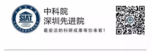 怀孕初期,受精卵怎么在子宫里扎根?有人3D打印了一个模型还原这一过程