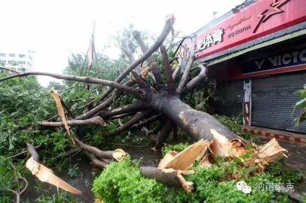 晶智纳米阳光节能膜-厦门纳诺泰克科技有限公司