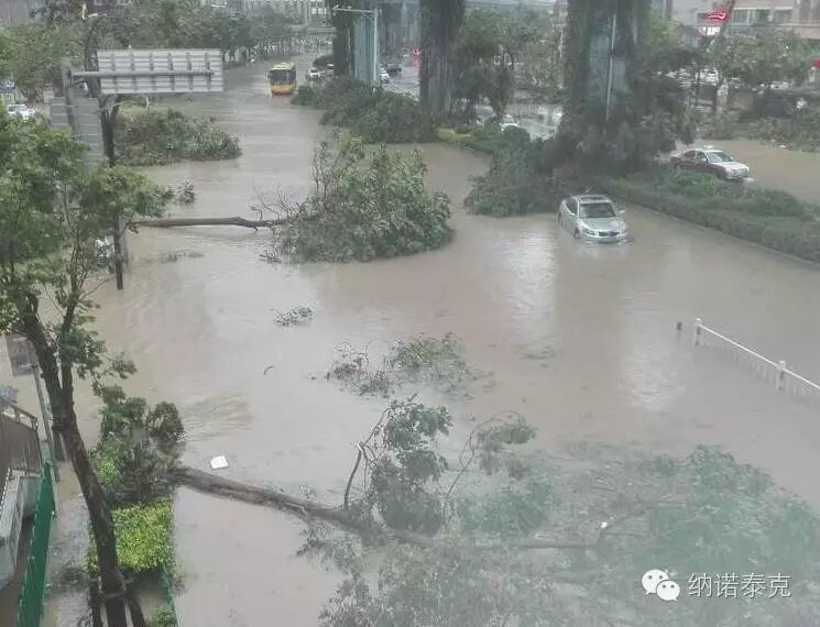 晶智纳米阳光节能膜-厦门纳诺泰克科技有限公司