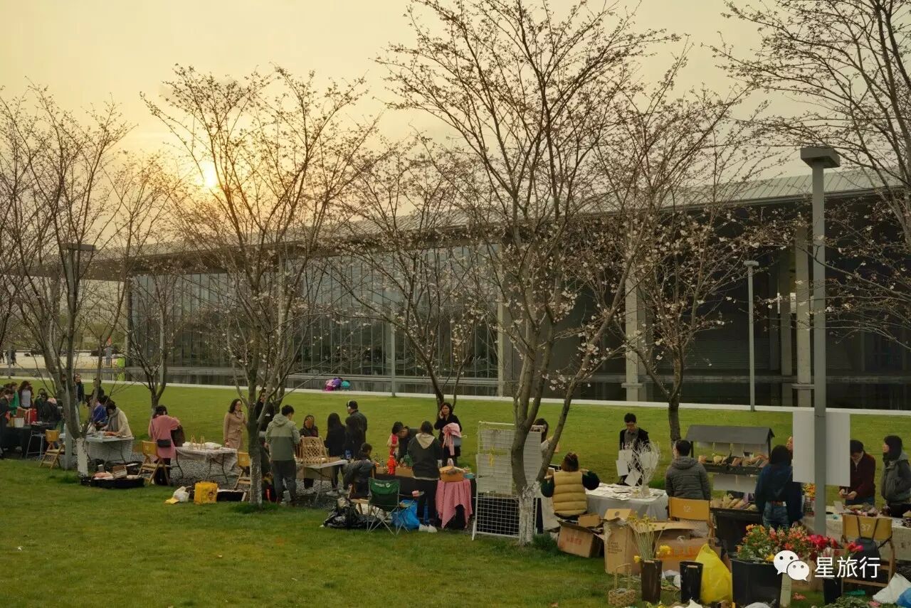 白碧桃花是什么游戏_白碧桃_白碧桃图片