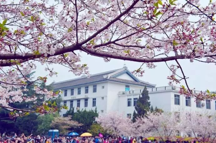 白碧桃_白碧桃图片_白碧桃花是什么游戏