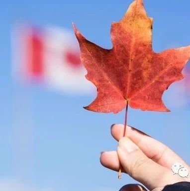 【移民资讯】为什么移民加拿大？枫叶卡的优势这么多，实在令人无法抗拒！