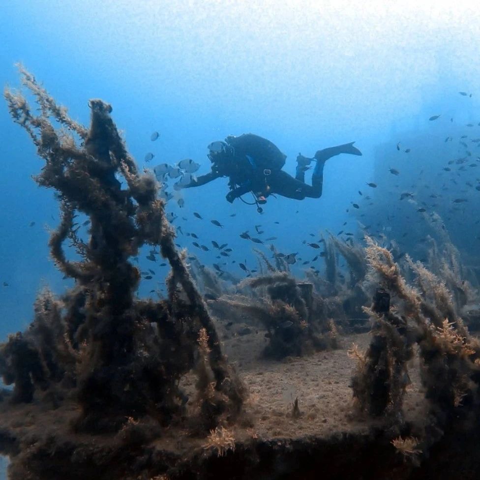 【移民资讯】潜入地中海的海底，听沉船遗迹讲讲马耳他的故事