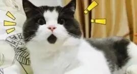 养老金缴15年和缴40年的差距，简直不可思议！