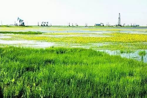 中国石油股票和油价有关系吗_石油股价和什么有关_中国石油股票价格受什么影响
