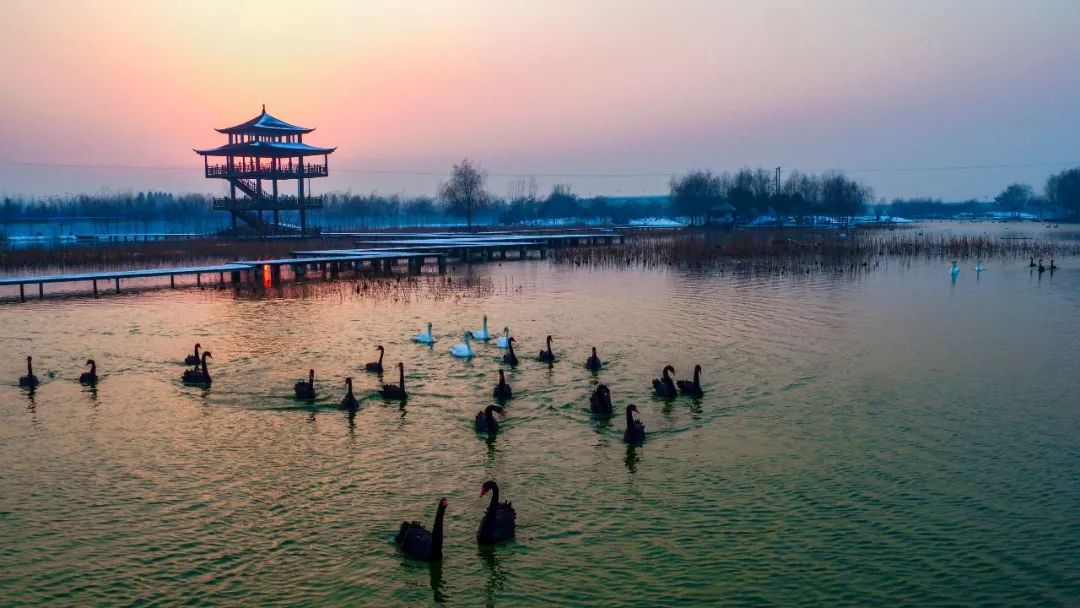 热烈祝贺双龙湖观鸟园成为国家aaa级旅游景区