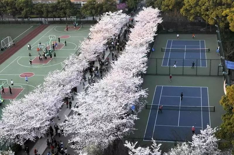 成都理工大学广播影视学院官网_成都理工学院广播影视艺术学院_成都理工大学广播影视学院教务网