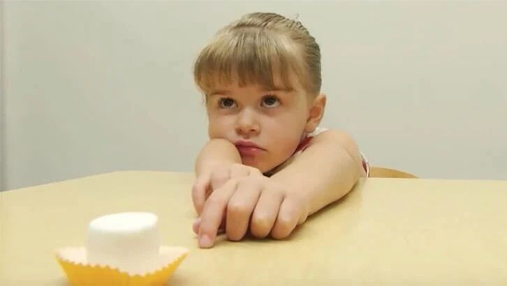 唤醒无数父母的TED演讲：对棉花糖的选择，影响了孩子一生！