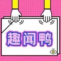 金希澈都给翻译姐姐买香奈儿了,你还在考虑学不学韩语?