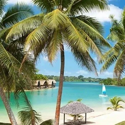 瓦努阿图这么小，为什么这么多人想要它的护照？