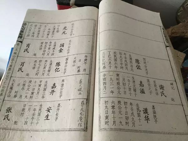 20170504165148_81xfkxmppx.png?v=1762064268672