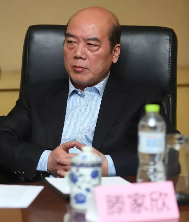 协会常务副会长张荣明以及副会长刘元风,薄成书,罗建凡,周严,莫觉凡