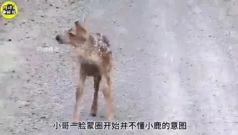 世界之大，无奇不有