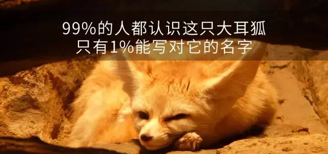 刺猬妈妈怀孕的时候,会被小刺猬扎伤么?