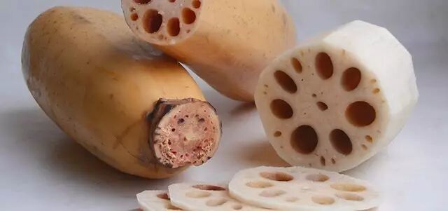 刺猬妈妈怀孕的时候,会被小刺猬扎伤么?