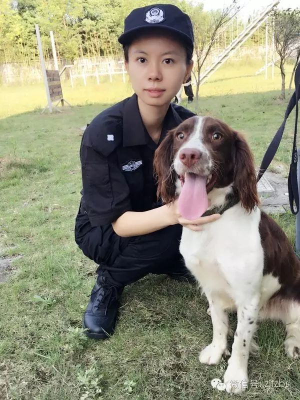 警花说《警花与警犬》你只看到我威风八面,却看不到我背后流汗