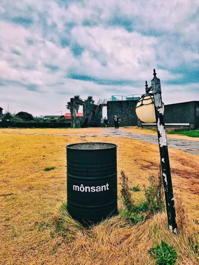 打着喝咖啡的旗号，去韩国做个水当当的美人儿！