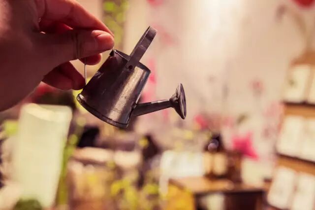 打着喝咖啡的旗号，去韩国做个水当当的美人儿！