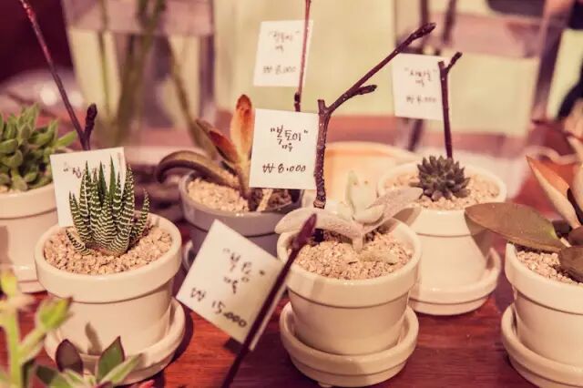 打着喝咖啡的旗号，去韩国做个水当当的美人儿！