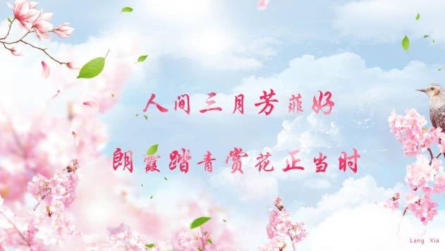 『 朗霞 · 攻略 』人间三月芳菲好,朗霞踏青赏花正当时