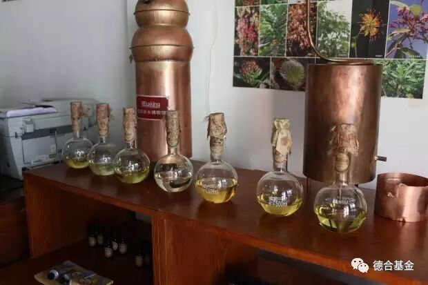 德合基金2017首次芳香之旅完美收官